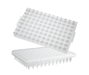 96-well PCR Microplates(96 PCR 플레이트_AX.PCR-96-SG-C) - 고려에이스 쇼핑몰